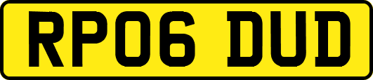 RP06DUD
