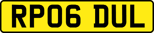 RP06DUL