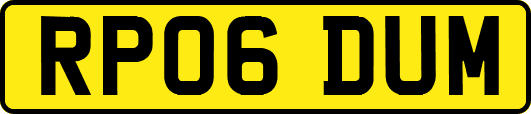 RP06DUM