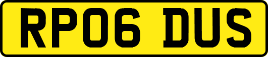 RP06DUS