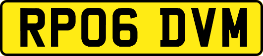 RP06DVM