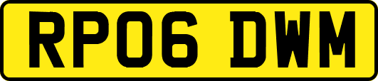 RP06DWM