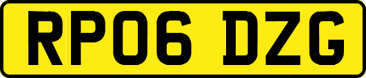 RP06DZG
