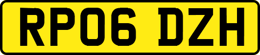 RP06DZH