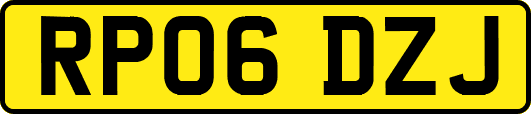 RP06DZJ