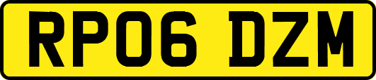 RP06DZM