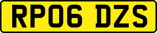 RP06DZS