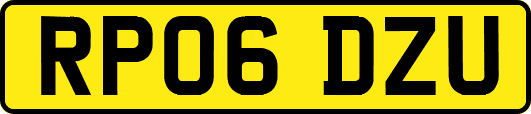 RP06DZU