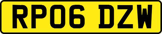 RP06DZW