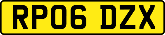 RP06DZX