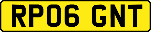 RP06GNT