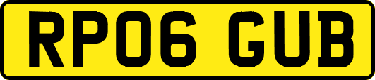 RP06GUB