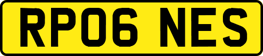 RP06NES