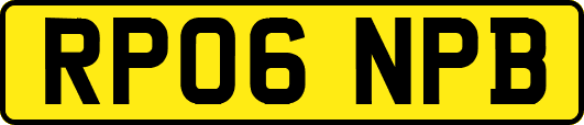 RP06NPB