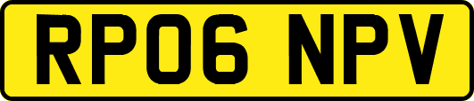 RP06NPV