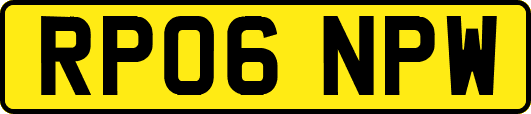 RP06NPW