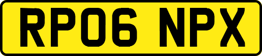 RP06NPX