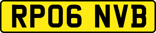 RP06NVB