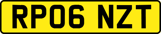 RP06NZT