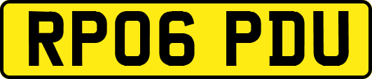 RP06PDU