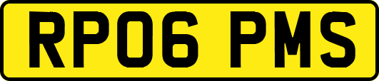 RP06PMS