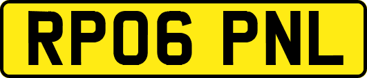 RP06PNL