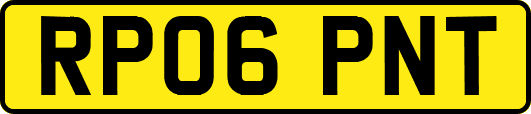RP06PNT