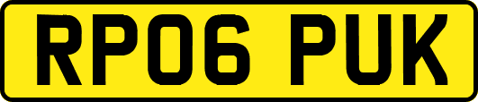 RP06PUK