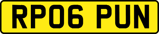 RP06PUN