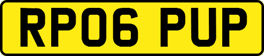 RP06PUP