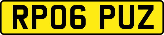 RP06PUZ