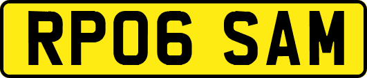 RP06SAM