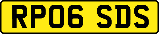 RP06SDS