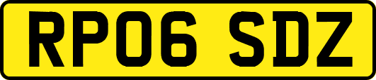 RP06SDZ