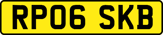 RP06SKB