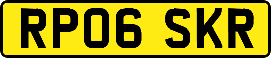 RP06SKR