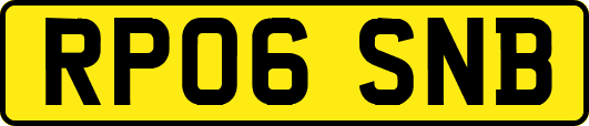 RP06SNB