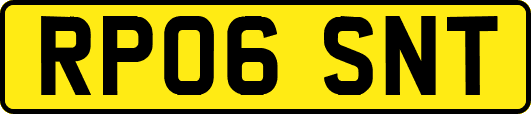 RP06SNT