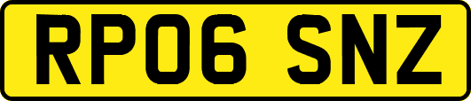 RP06SNZ
