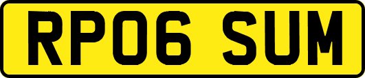 RP06SUM