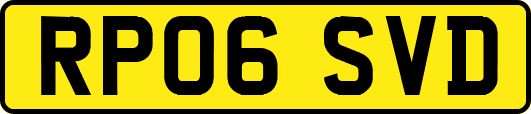 RP06SVD