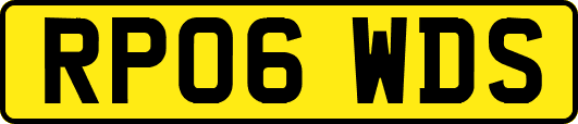 RP06WDS