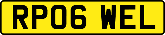 RP06WEL