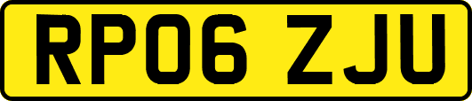 RP06ZJU