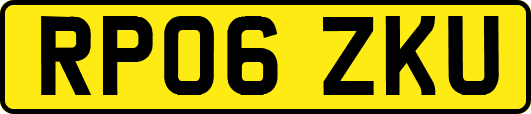 RP06ZKU
