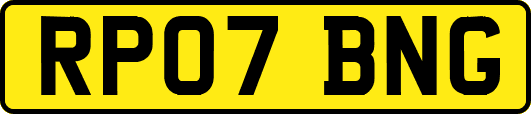 RP07BNG