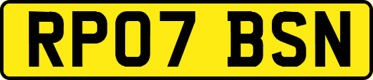 RP07BSN