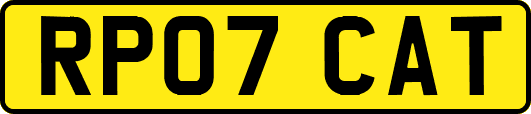 RP07CAT