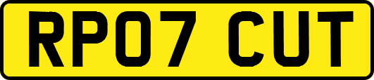 RP07CUT