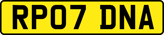 RP07DNA